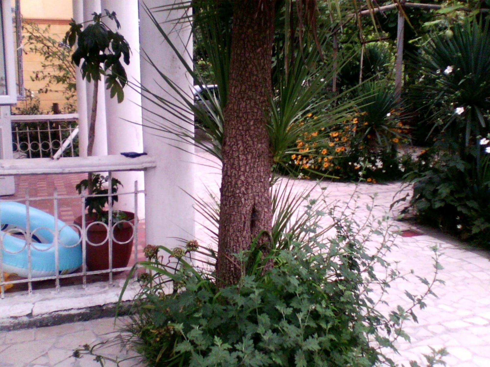 White Guest House Batumi Exterior foto